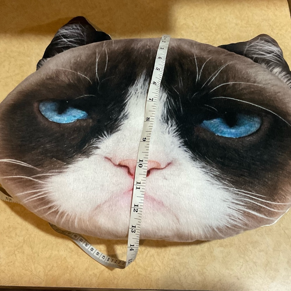 Jakks: Grumpy Cat  about 18 “ inches wide  n 13 “ inches tall decorative pillow - Picture 5 of 6